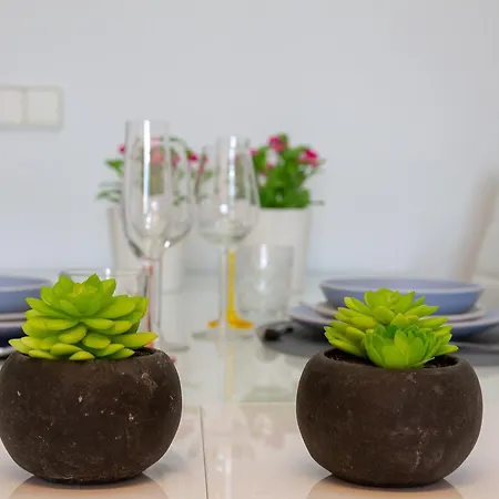 Lydia Uno * 托雷莫利诺斯